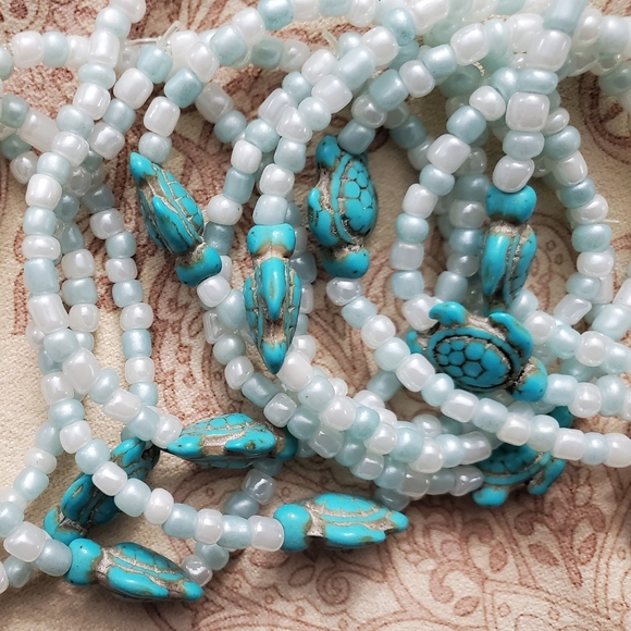 Turtle findings - Picture 3 of 3